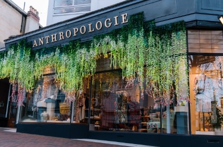  Anthropologie