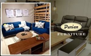 Durian Furniture logo