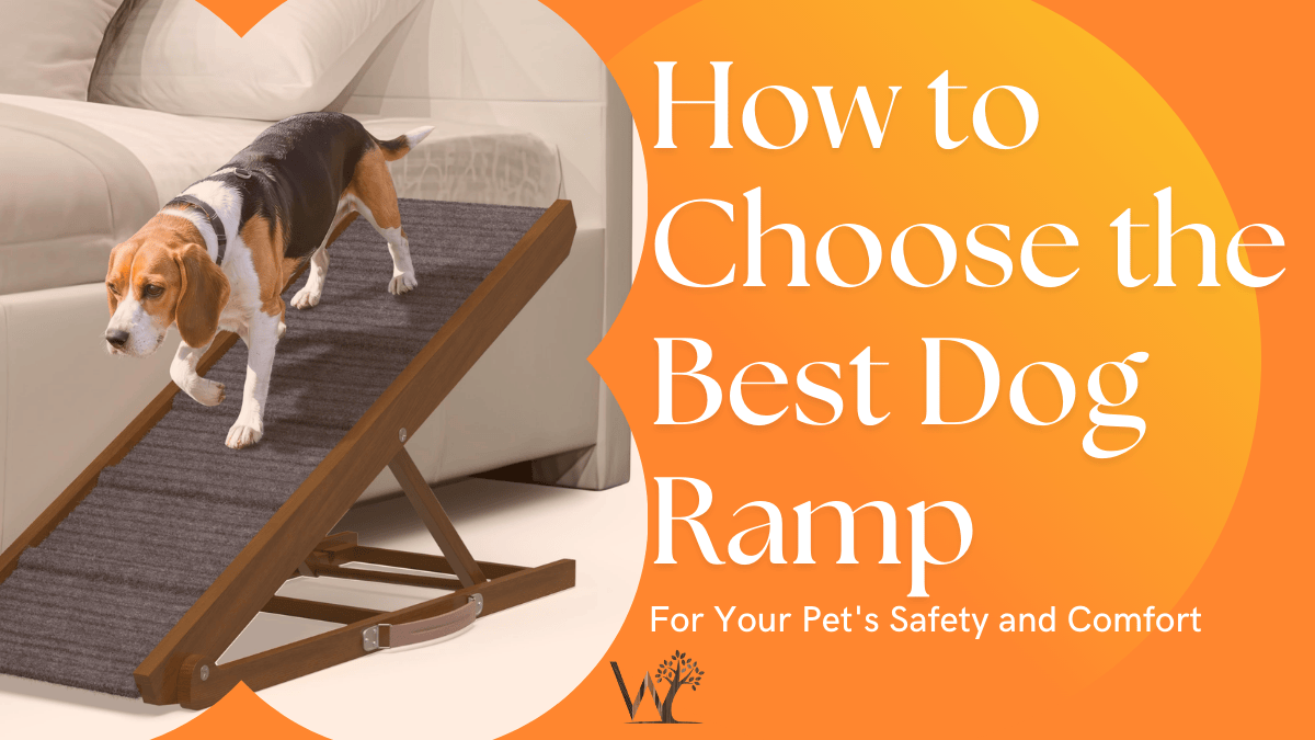 how to choose the best dog ramp