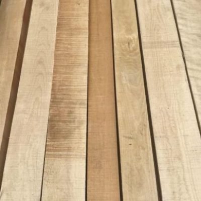 — Birch Wood birch wood